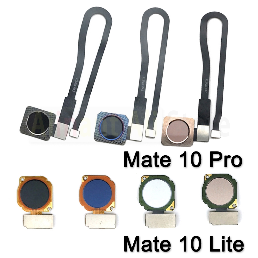 Fingerprint Cable Flex - AiinAnt-Botão Home Back Key Connector, Touch